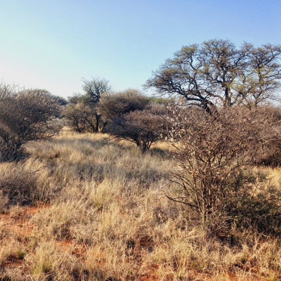 Commercial Property for Sale in Barkly West Rural Northern Cape